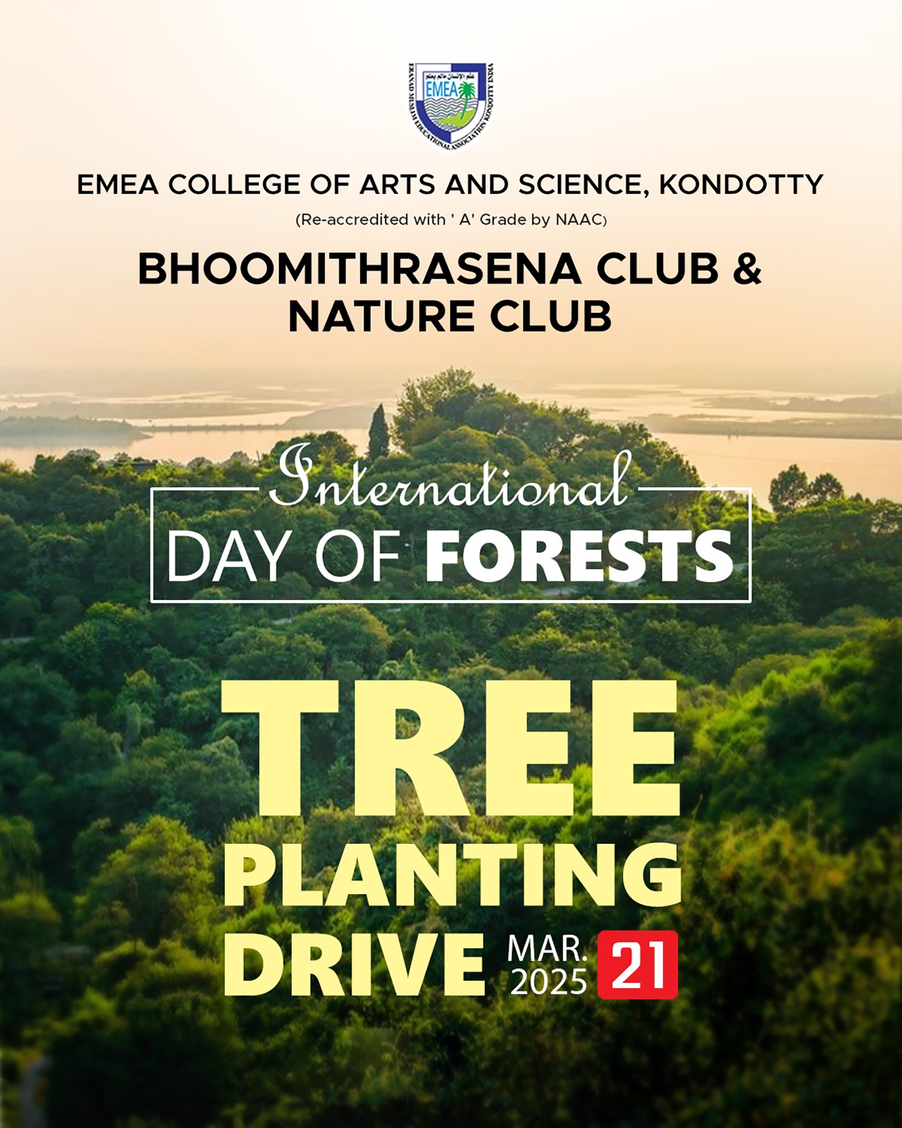 Tree Planting Drive